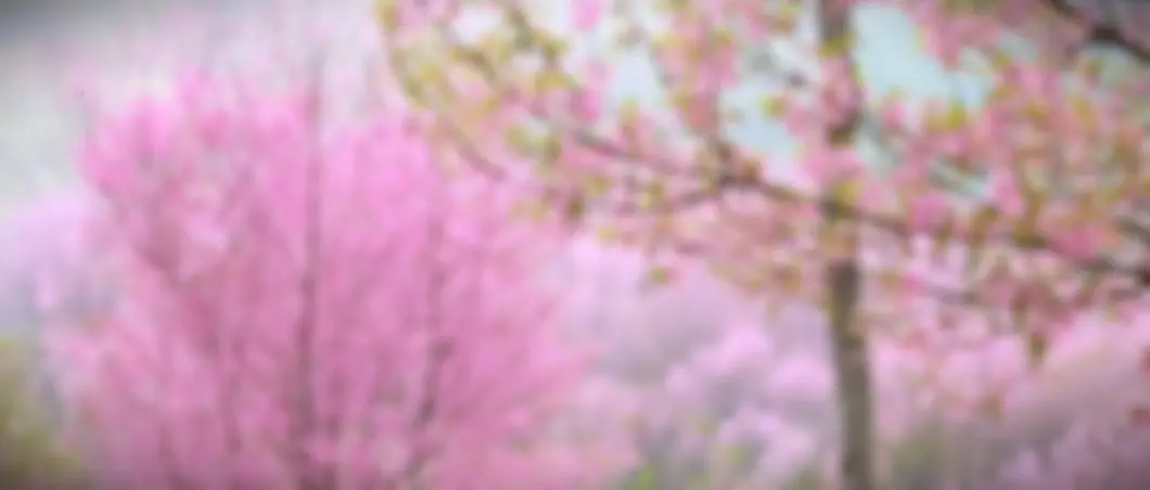 Cielo con nubes y un amanecer